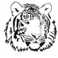 White Tiger Consultancy